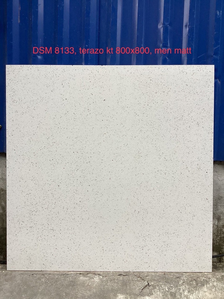 Gạch terrazzo 800x800mm mã DSM8133